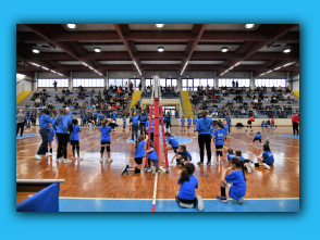 Volley_S3_25.01.26  (35).jpg